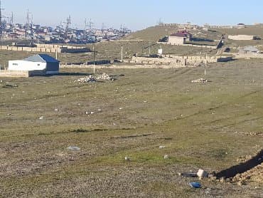 bine atcılıq: 80 sot — 4