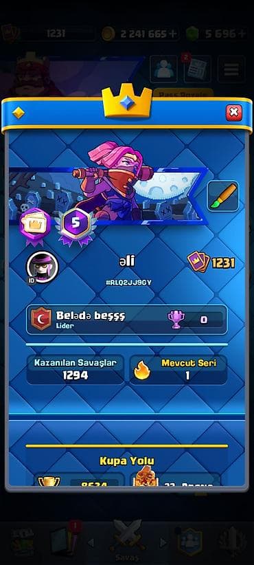 Clash Royale account satılır – yüksək resurslu və inkişaf etmiş — 2