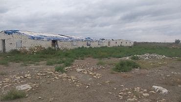 munasib qiymete evler: 8 sot, Kənd təsərrüfatı, Maklerlər narahat etməsin, Kupça (Çıxarış) — 4