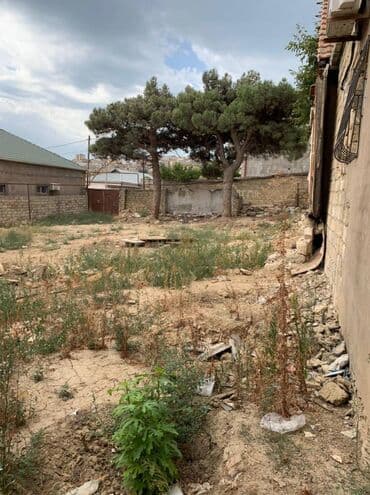 dübəndi torpaq: 5 sot, Tikinti, Makler, Kupça (Çıxarış) — 8