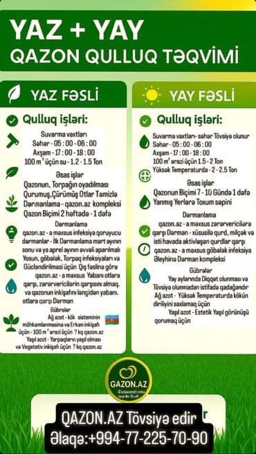 qazon picen: Qazon və Bağ Xidmətləri İşlərimizlə Tanışlıq üçün Instagram və — 29