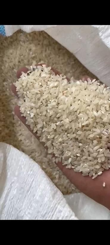 ucuz ev eşyaları: Məhsul: Düyü (ağ dənəli, qısa/orta dənə) Təsvir: - Yüksək keyfiyyətli — 3