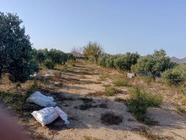 Tavalar: Xidmət: Salam her vaxtınız xeyir olsun birqadirle birlik de işçi — 2