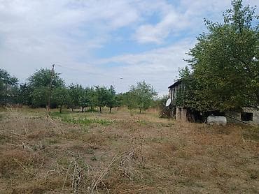 şabran torpaq satılır: Kənd təsərrüfatı — 4