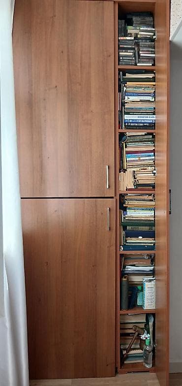 Атласы: Kitab.“Tibbi Traktat. Atlas” – iri formatda, illüstrasiyalı nəşr.Kitab — 3