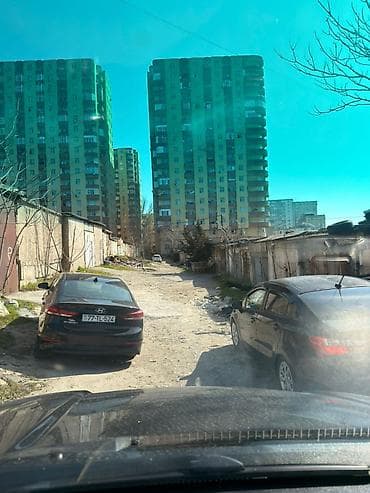 ovcharka satılır: Ehmetlide qara satilir lela sadig evinin yani yamasi var 19 kv sendei — 3