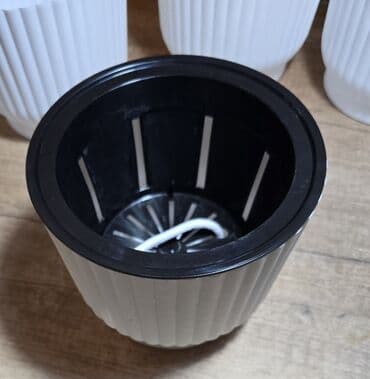 şaxtagülü qiyməti: Orta ölçü kaşpo dibçəklər. Yuzarı çevrəsinin diametri 15.50sm — 2