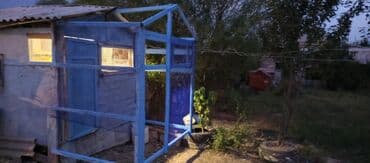 saso toyuqlari: Məhsul: Açıq hava volyeri/qarmaq telindən quş qəfəsi anbarı yanına — 6