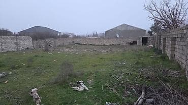 ev gence: Tikinti — 4