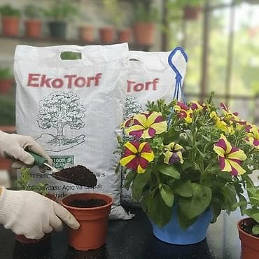 kisi hediyye: Məhsul: “YAŞIL HƏYAT” torf qarışığı – 100% üzvi tərkibli, 20 litrlik — 8