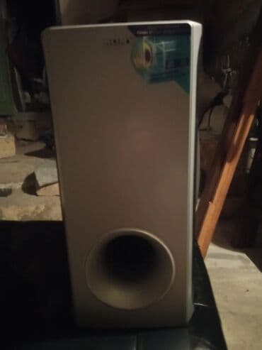 dinamik pioner: Yeni Sony Kolonka, Növ - Sabvufer, rəng - Gümüşü — 14