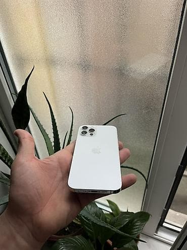 kabura iphone x: IPhone 12 Pro, Ağ, Simsiz şarj — 3