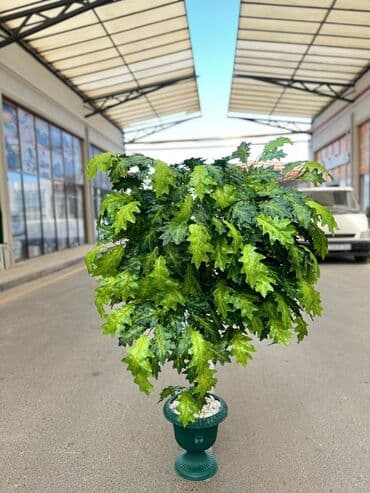 süni ağac: Daxili və xarici məkanlar üçün nəzərdə tutulmuş süni dekorativ ağac — 5