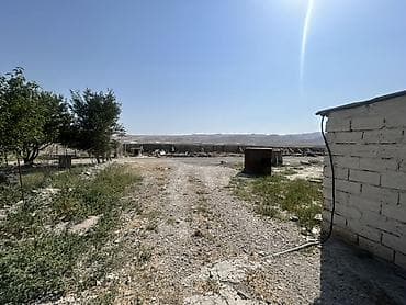 kiraye evlerin kreditle satisi: Ferma/Saxlama sahəsi və yardımçı tikililərlə birlikdə həyətyanı ərazi — 3