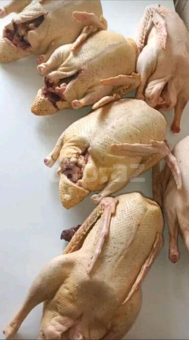 Məhsul: Təmizlənmiş qaz əti - Kəsilmiş və içi təmizlənmiş, iri-kök