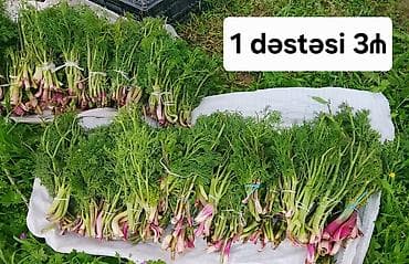 su baçoku: Salam aleykum bir dəstəsi 3₼ cox alan olsa çatdırılması mümkündür — 2