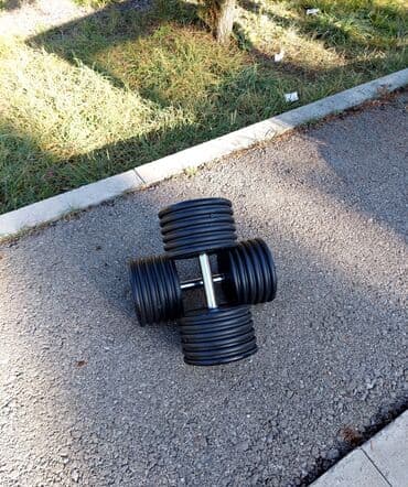 natiq vahidov 9 cu sinif pdf: Plastik Qantellər — 9