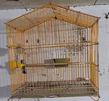 qara it sekilleri: Quş qəfəsləri və volyerlər dəsti - Böyük metal volyer: möhkəm məftil — 3