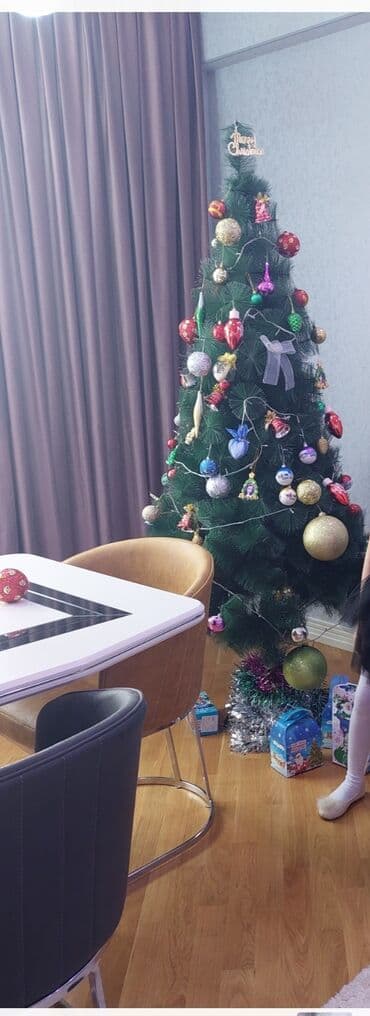 dekor ağaç: Hündür şam agaci az işlenmiş yeni kimi — 1