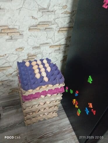 quru sud: Təbii toyuq yumurtası - Ölçü: orta-böyük (şəkillərdə əllə ölçü — 4