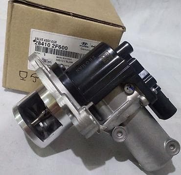 Салон: Hyundai Santafe,Kia Sorento üçün EGR — 1