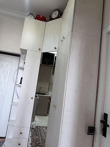 demi qapi: Daxili dəhliz üçün künc qarderob–dolu dəst - Rəng: açıq ağ-ağac — 4