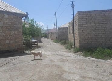 irşad electronics xacmaz: 4 sotu 3000 Gence seheri Seving qesebesi su xetti var Qaz ışığ xettide — 5