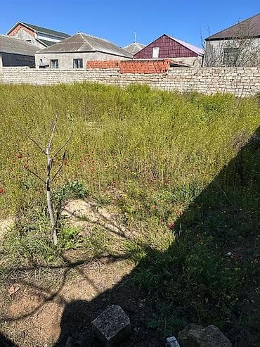 samaxida torpaq: 6 sot — 2