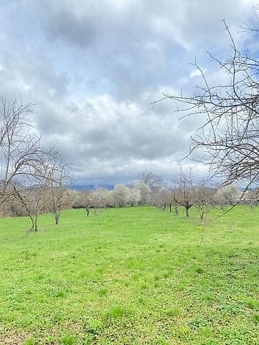 torpaq ceyranbatan: 66 sot, Tikinti, Mülkiyyətçi, Kupça (Çıxarış) — 10