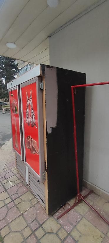 Dərin dondurucular: Soyuducu vitrin – ət məhsulları üçün - Tip: İki qapılı soyuducu — 3