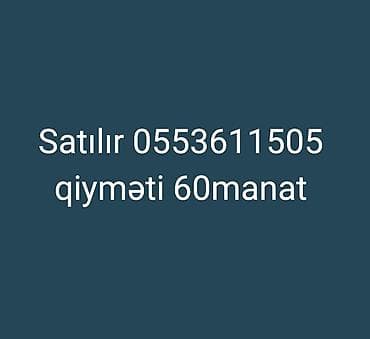 rm 30 sınaq pdf: Satılır qiyməti 60manat Çili alcı yıgsin — 1