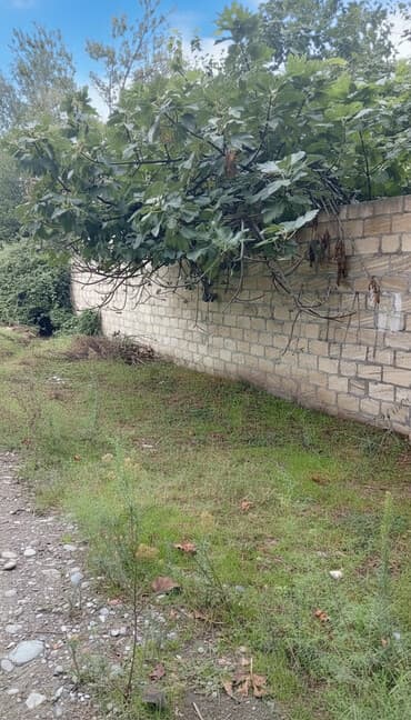 bir hektar neçə sotdur: Tikinti — 1