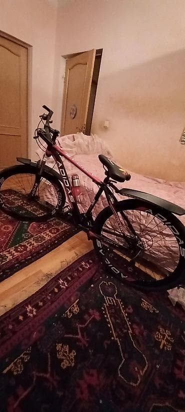 vlasibet: Велосипед, скоростной. Размер 29. Велосипед красного цвета. Куплен — 2