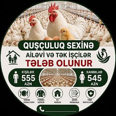 Fəhlə tələb olunur, 1/1, Aylıq ödəniş — 1
