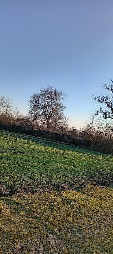 neftciler satilan evler: Kənd təsərrüfatı — 2