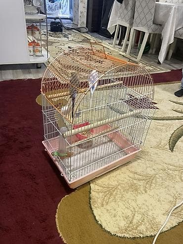 quş adları: Dalmatian göyərçinlər üçün qəfəs dəsti - Qəfəs: metal çərçivə, üst — 3