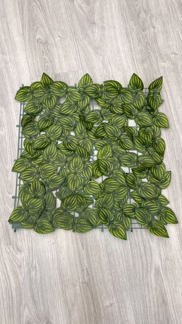 линолеум баку цена: Qi̇ymətlər 10 azn başlayir depodan bir başa satiş suni̇ qazonlar — 30