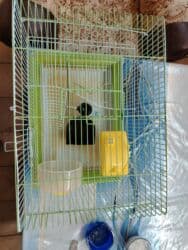 Quş qəfəsi dəsti - Material: metaldan tel karkas, möhkəm plastik