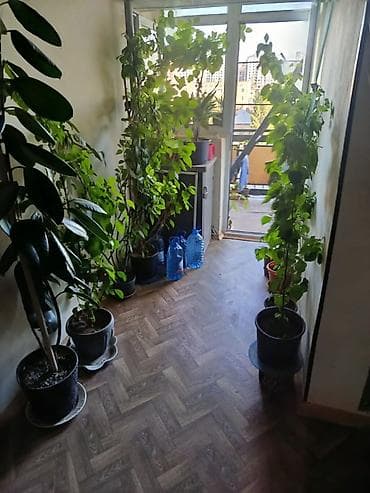 kiraye ev nerimanovda: Bakı, 2 otaqlı, Köhnə tikili, 45 kv. m — 3