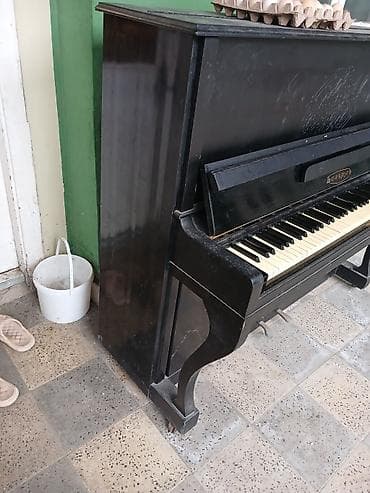 Клавишные инструменты: Piano Belarus,normal işləyir — 2