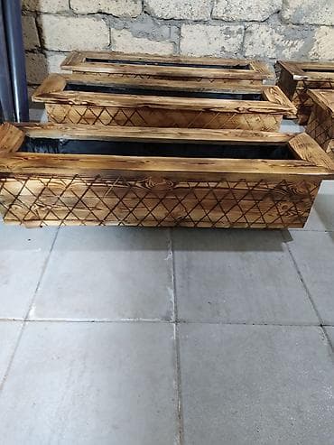 akvaryum bitkileri: Istediyniz sayda, ölçüde, görnüşde, boya rengi seçimide sergestdi, ve — 4