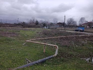 Otaqlar: 6 sot — 3