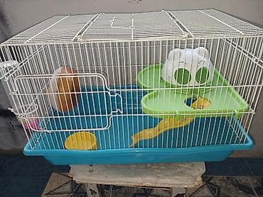 qefes: Hamster üçün tam dəst qəfəs Xüsusiyyətlər: - Metall çubuqlu, üst — 6