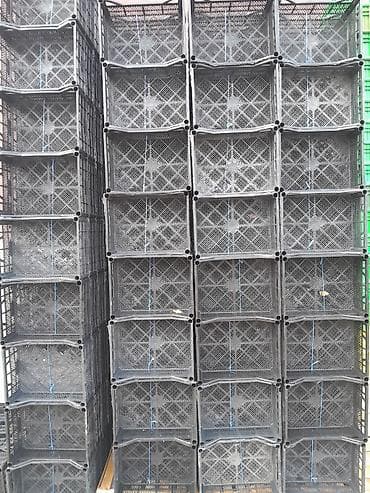 Konteynerlər: Məhsul: Plastik tərəvəz-meyvə yeşikləri və karton qutular Təsvir: - — 3
