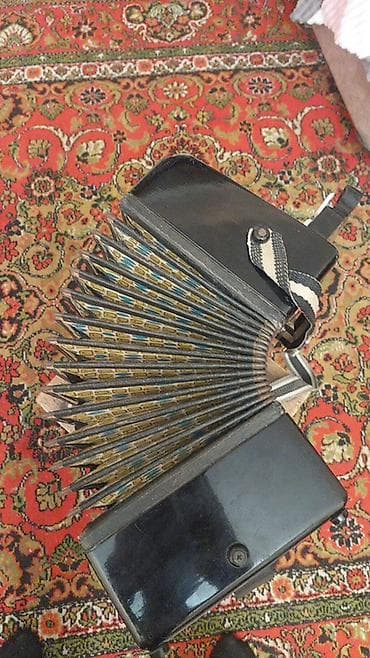 akkardeon: Akustik Akkordeon, İşlənmiş — 5