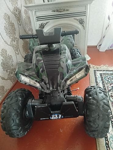 usaq paltarları: Uşaq üçün elektrikli kvadrosikl (batareyalı ride-on) - Gövdə — 3