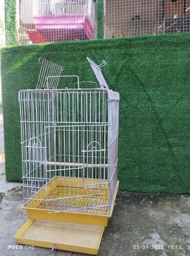 elf bar en ucuz: Qəfəslər təzədi 20-50 Azn — 4