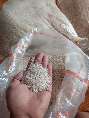 шафран диет оригинал: Astara duyusu hawimi 5 azn qoxulu ve uzun duyu.Apolu uzun duyu 3.5 ve — 3