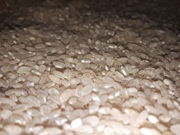 Şirniyyat məhsulları: Məhsul: Ağdaş düyüsü. Öz kəndimizin məhsuludur. Ağdaş rayonu Ləki — 7