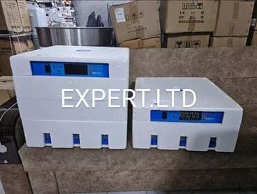 hinduska yumurtasi nece gune cixir: Expert şirkətinin rəsmi istehsalı olan, android-rejimli aparatların — 3